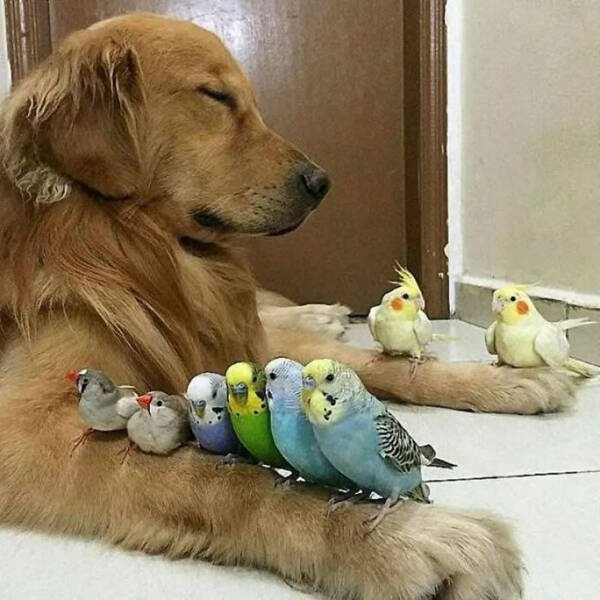 Hilarious Photos (24 pics)