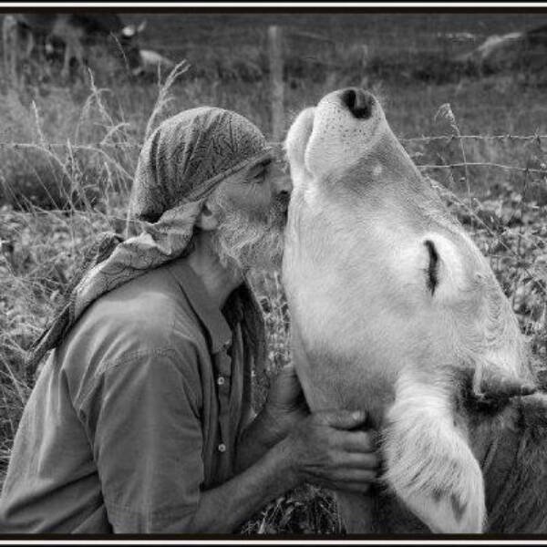 Hilarious Photos (24 pics)