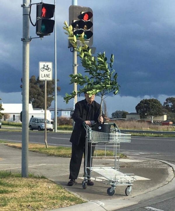 Hilarious Photos (24 pics)