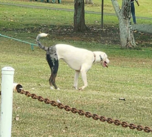Optical Illusions (24 pics)