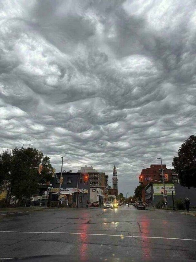 Optical Illusions (24 pics)