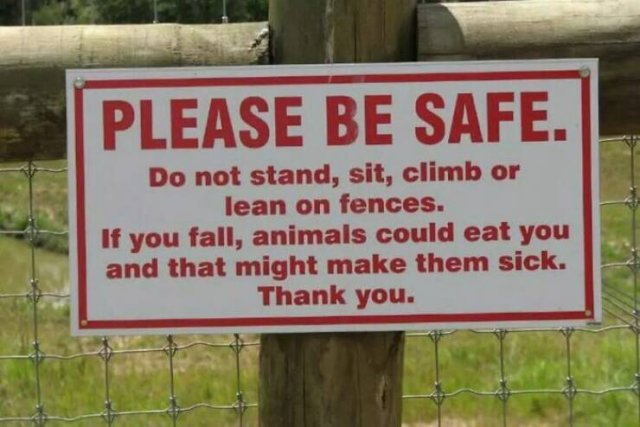Funny Signs (24 pics)