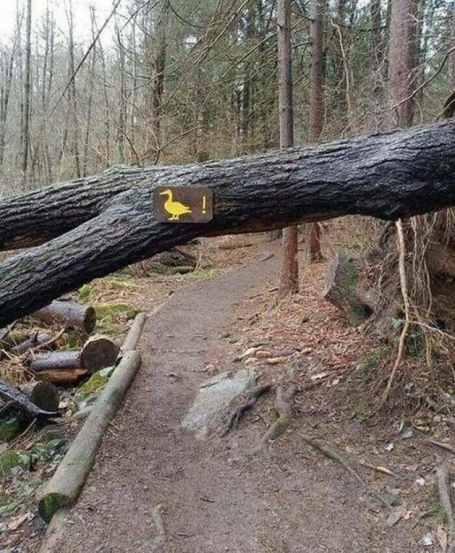 Funny Signs (24 pics)