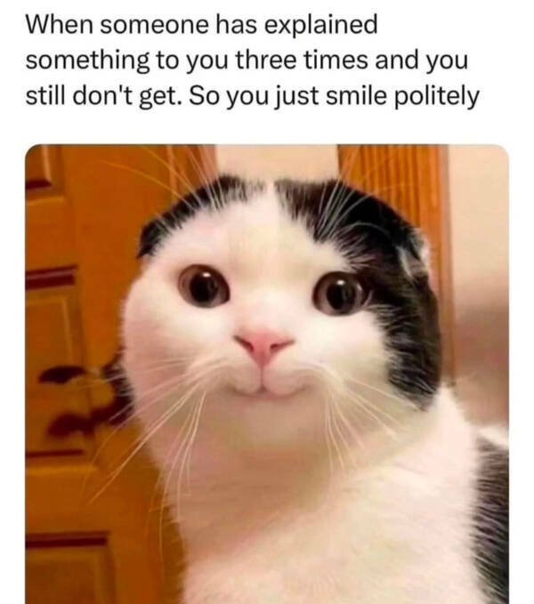 Memes For Cat Lovers (28 pics)