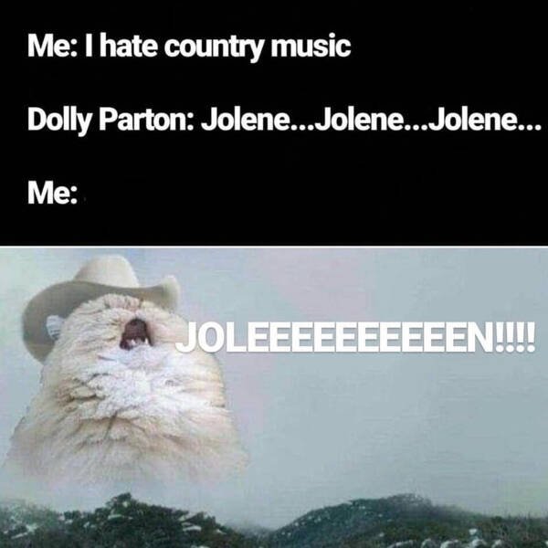 Memes For Cat Lovers (28 pics)