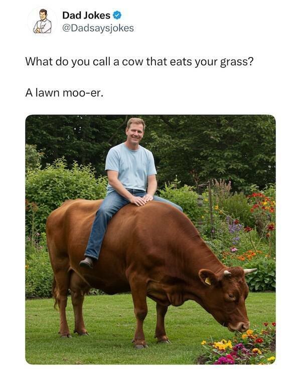 Dads Jokes (16 pics)