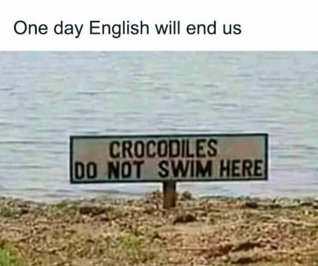 Funny Signs (24 pics)