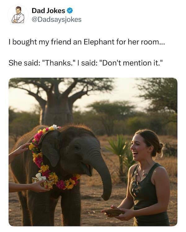 Dads Jokes (16 pics)