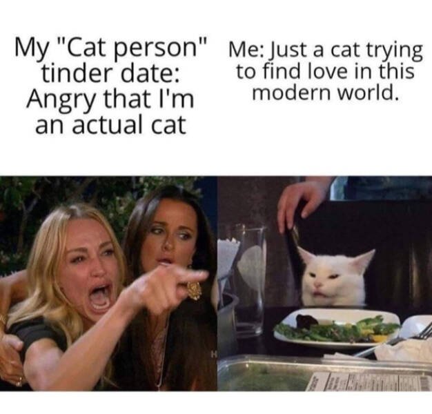 Memes For Cat Lovers (28 pics)
