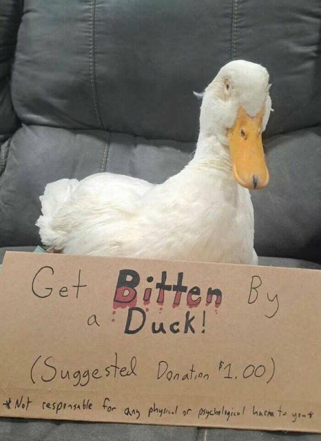 Funny Signs (24 pics)