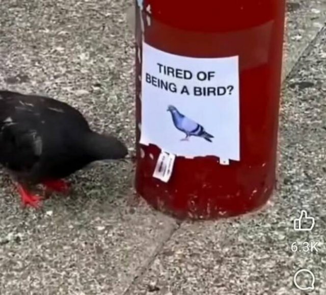 Funny Signs (24 pics)