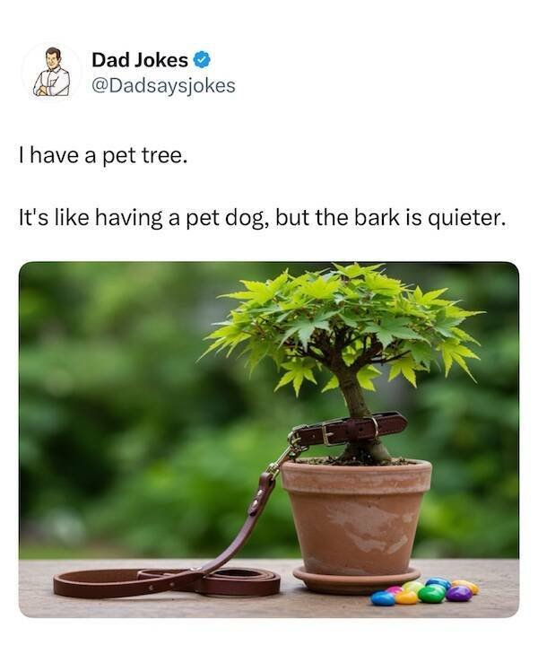 Dads Jokes (16 pics)