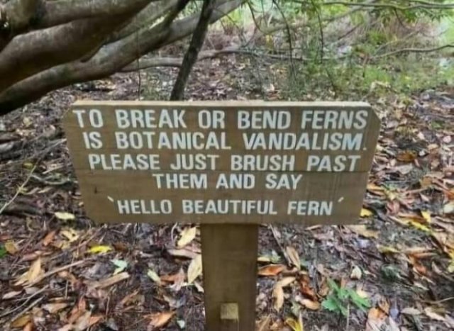 Funny Signs (24 pics)