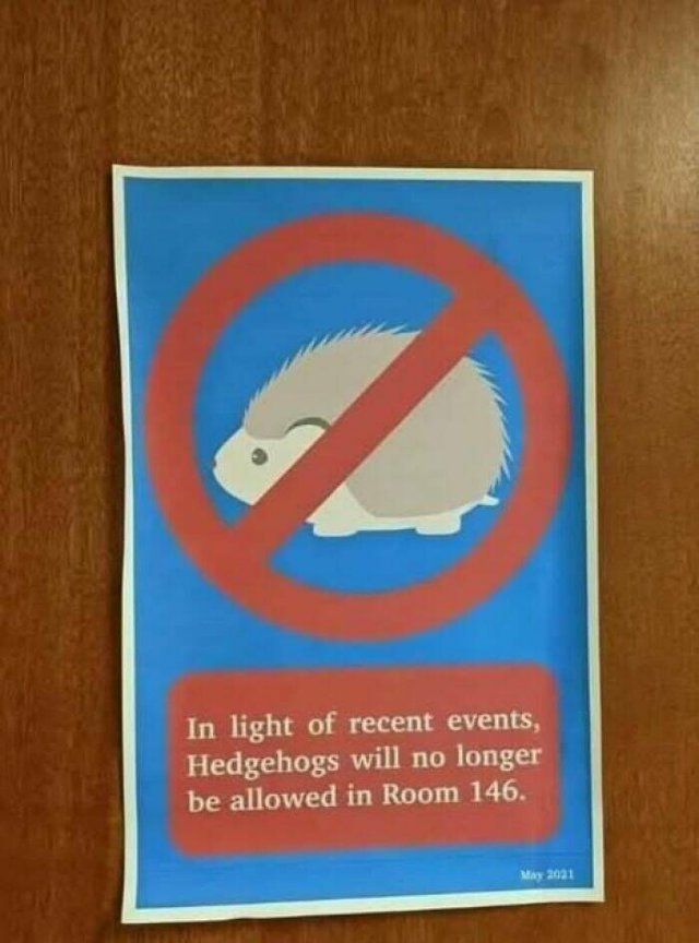Funny Signs (24 pics)