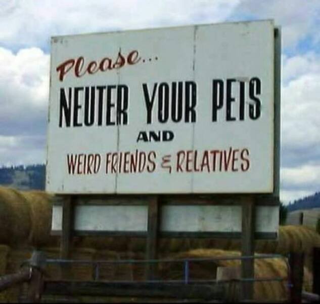 Funny Signs (24 pics)