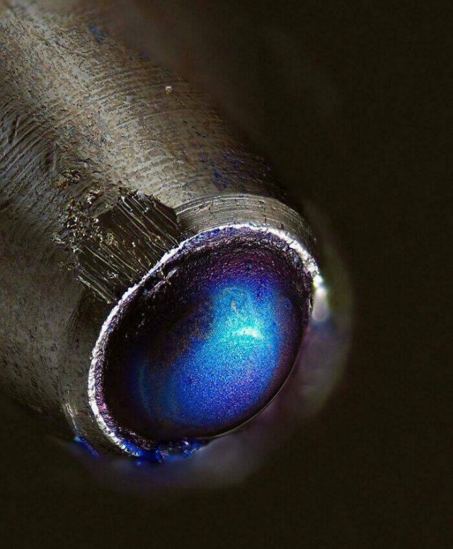 Usual Objects Under The Microscope (20 pics)