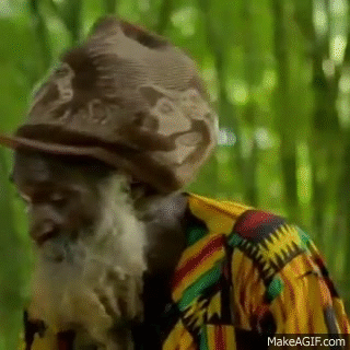 Random Facts (15 gifs) Random Facts (15 gifs)