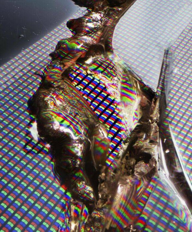 Usual Objects Under The Microscope (20 pics)
