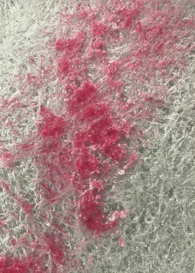 Usual Objects Under The Microscope (20 pics)