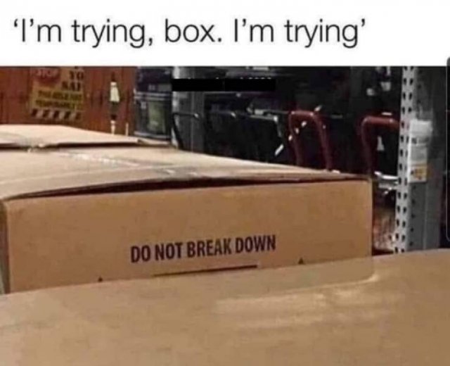 Wise Thoughts (24 pics)
