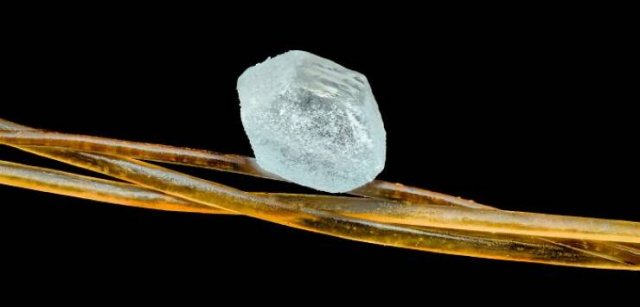Usual Objects Under The Microscope (20 pics)