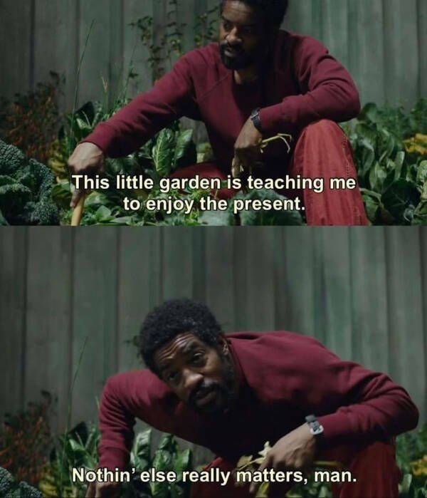 Wise Thoughts (24 pics)