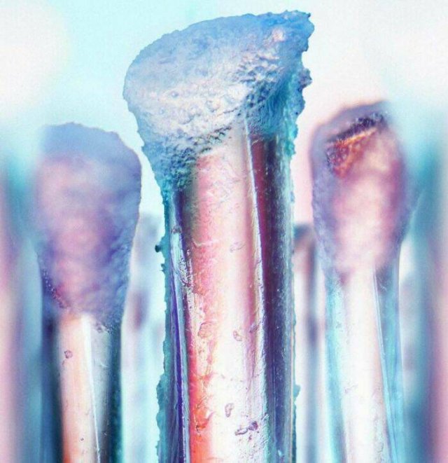 Usual Objects Under The Microscope (20 pics)