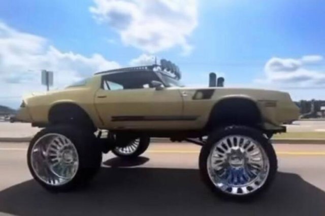 Wild Tuning (24 pics)