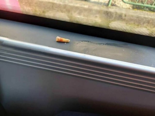 Annoying People In Public Transport (24 pics)