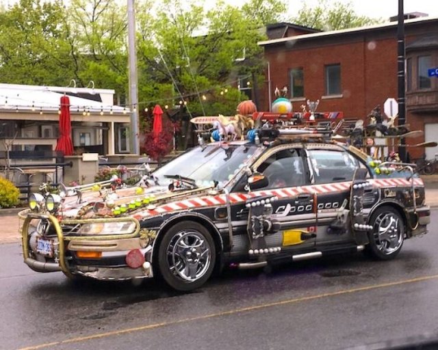 Wild Tuning (24 pics)