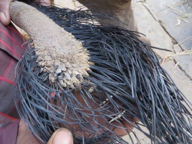 Interesting Finds (24 pics)