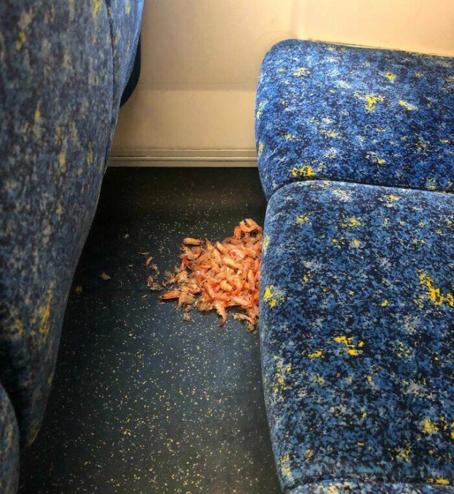 Annoying People In Public Transport (24 pics)