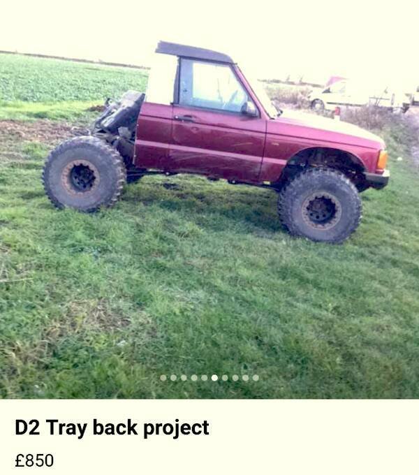 Wild Tuning (24 pics)