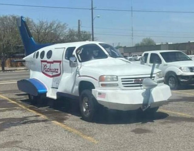 Wild Tuning (24 pics)