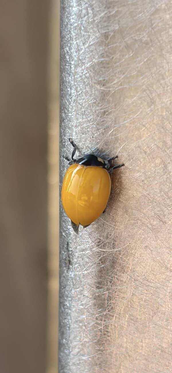 Interesting Finds (24 pics)