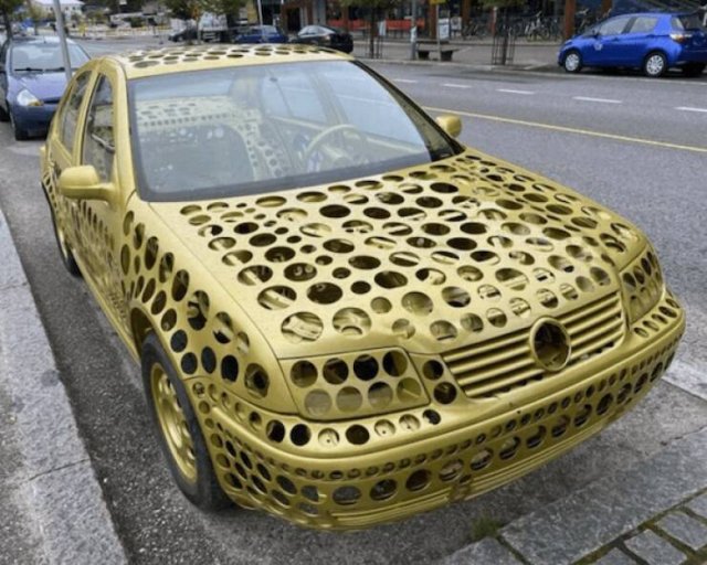 Wild Tuning (24 pics)
