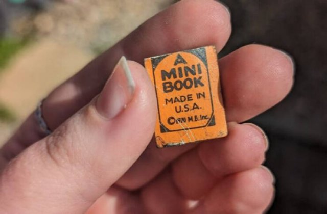 Unexpected Finds In Old Houses (16 pics)