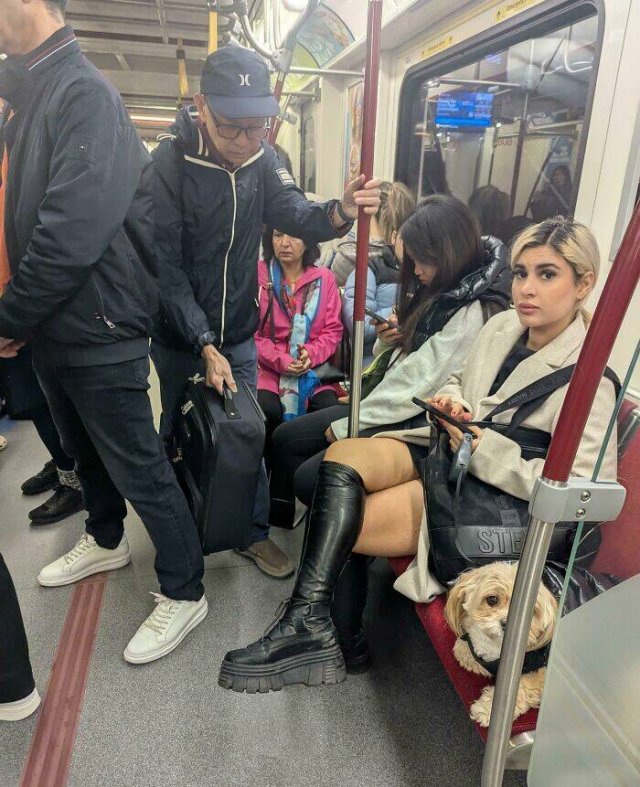 Annoying People In Public Transport (24 pics)