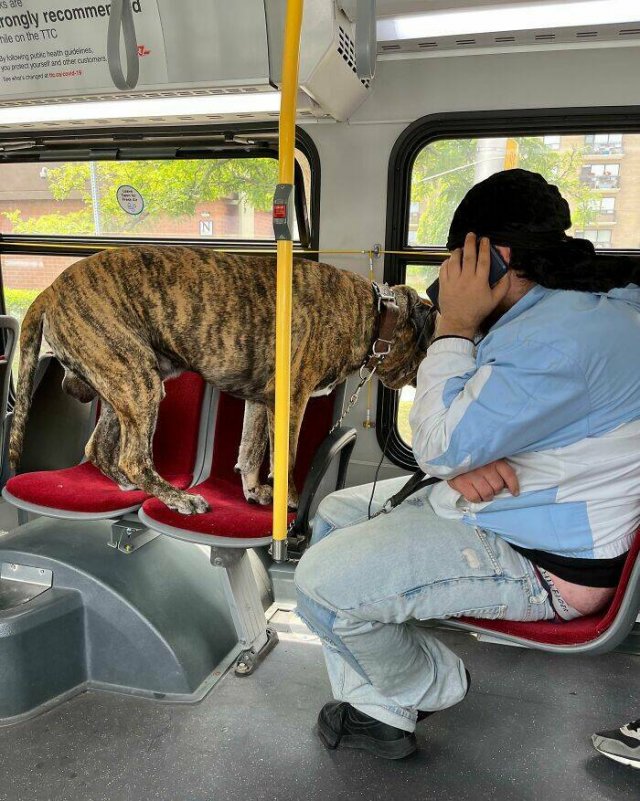 Annoying People In Public Transport (24 pics)