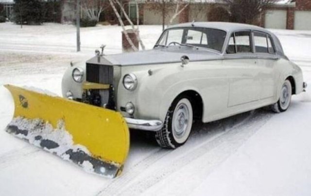 Wild Tuning (24 pics)