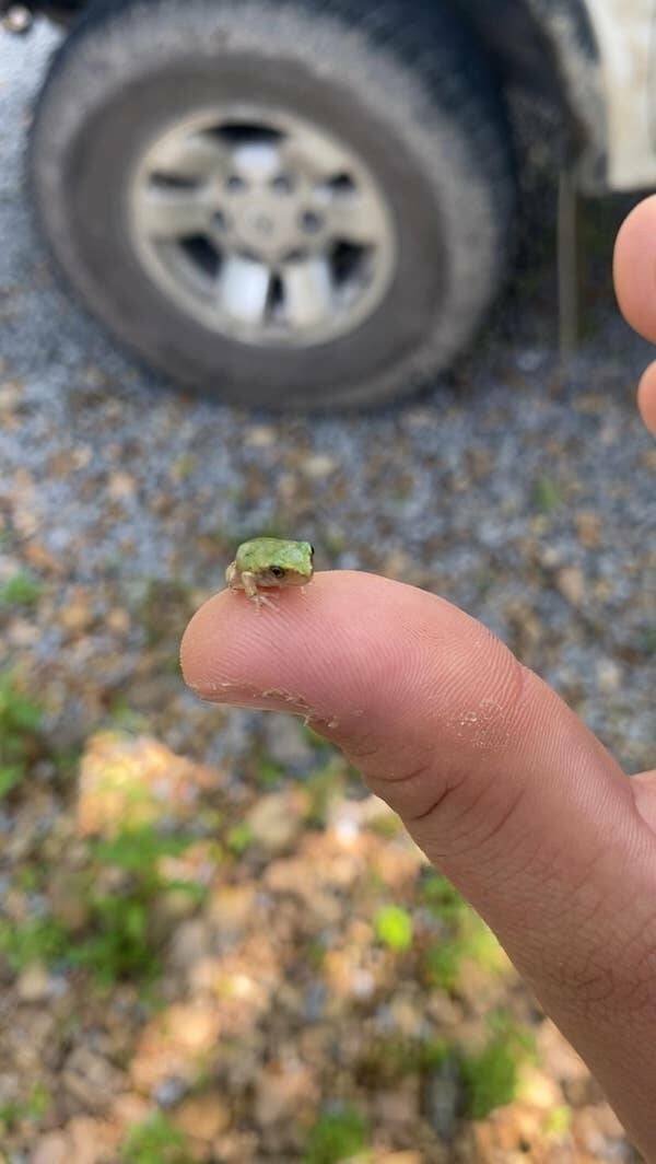 Interesting Finds (24 pics)