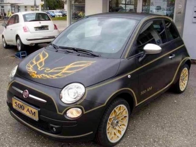 Wild Tuning (24 pics)