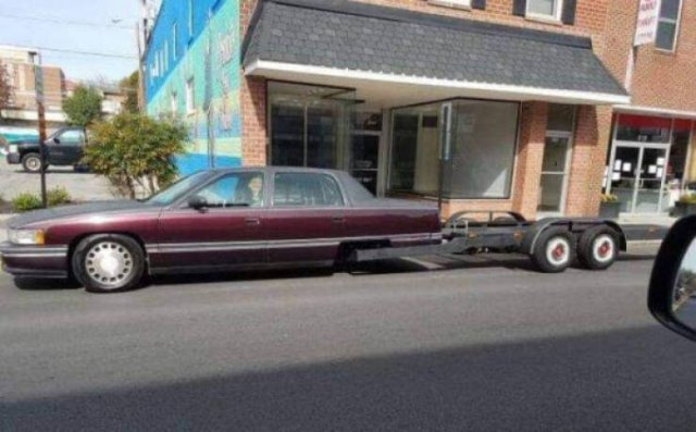 Wild Tuning (24 pics)