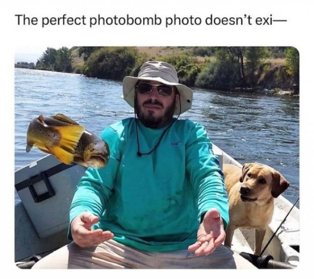 Memes For Animal Lovers (27 pics)