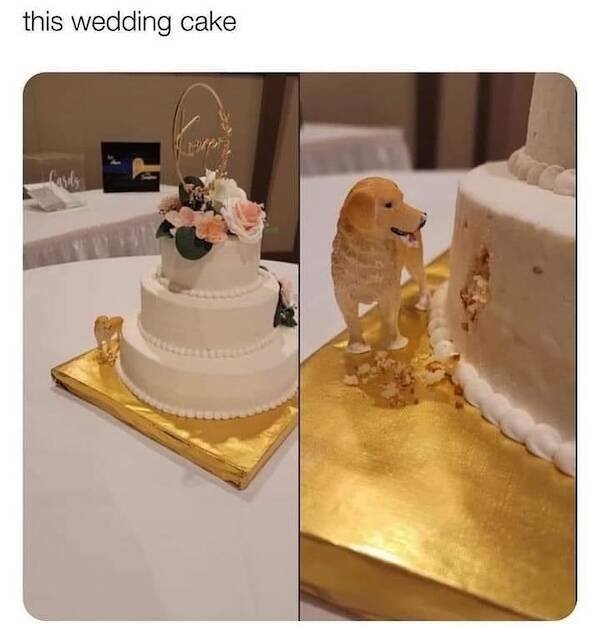 Memes For Animal Lovers (27 pics)