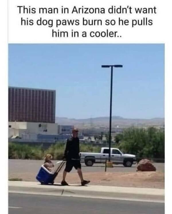 Memes For Animal Lovers (27 pics)