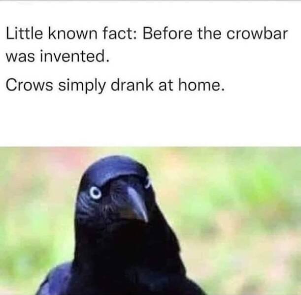 Memes For Animal Lovers (27 pics)