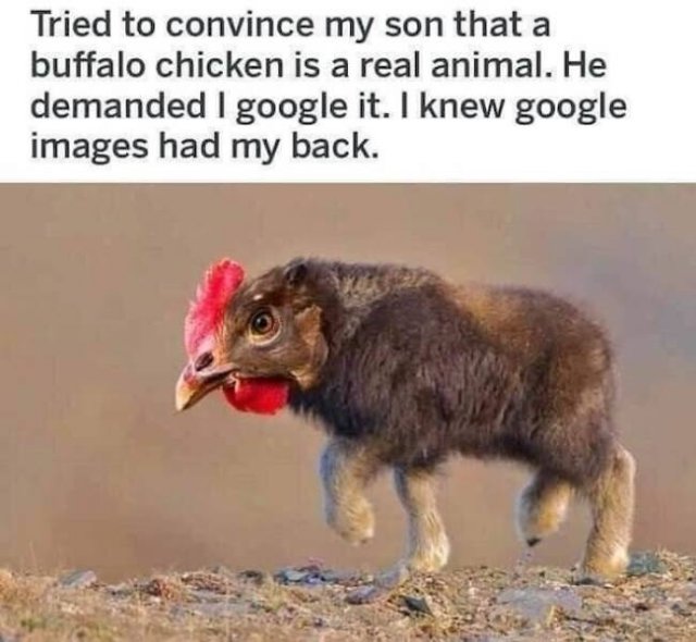 Memes For Animal Lovers (27 pics)