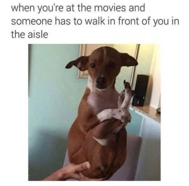 Memes For Animal Lovers (27 pics)