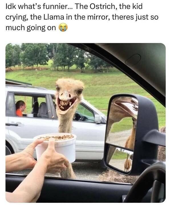 Memes For Animal Lovers (27 pics)